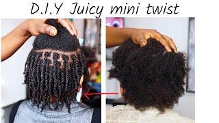 D.I.Y Juicy Mini Twist on ShortMedium 4c Natural Hair