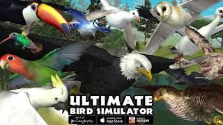 Ultimate Bird Simulator Game Trailer for iOS and Android