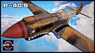 THE RUGGED WARHAWK P-40E-1 & P-40F-10 - USA - War Thunder