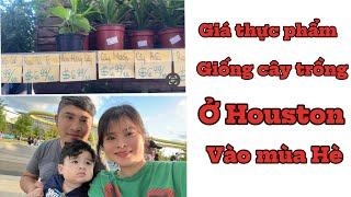 Công việc đam mê của người việt ở Mỹ ??? Giá thực phẩm ở Houston vào mùa hè