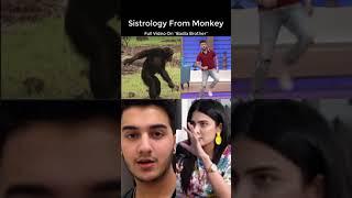 Sistrology And Shaveer From Monkey Family 