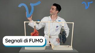 Fumo cosa c’è dentro una sigaretta? Quali danni causa il fumo? Come sono i polmoni di un fumatore?