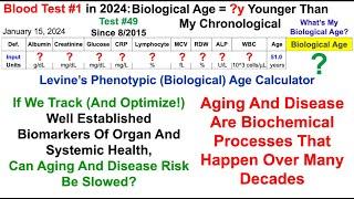 Blood Test #1 in 2024 Whats My Biological Age?