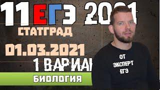 ЕГЭ 2021  БИОЛОГИЯ  РАЗБОР СТАТГРАДА  01 03 2021  1 вариант