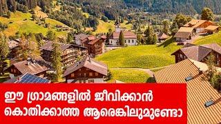 Sancharam  By Santhosh George Kulangara  Switzerland 02  Safari TV