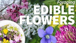 Foraging Edible Flowers 