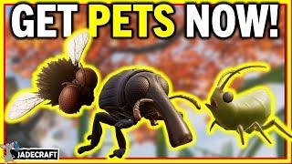 Grounded - How To Get Pet Gnats Home Stretch Update - Pets Are So Useful Now
