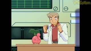 Cherubi attacks Professor Oak  Professor Oak Funny Moments