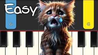 MIAW MIAW MIAW TIKTOK SAD SONG - EASY PIANO TUTORIAL 