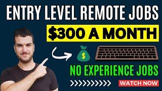 Entry Level Remote Jobs From Home - No Experience Online Jobs - Make Money Online 2024