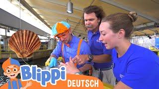 Blippi Deutsch - Blippi im Aquarium  Abenteuer und Videos für Kinder
