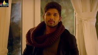 Iddarammayilatho Movie Amala Paul & Allu Arjun Scene  Sri Balaji Video