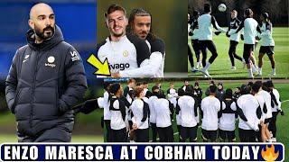 FIRST DAY Enzo Maresca To Start Pre Season Training At Cobham Today Dewsbury Hall Spotted.