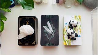 Twin Flame Connections ️⏰ PICK A CARD Reading. ⏰️Timeless Messages