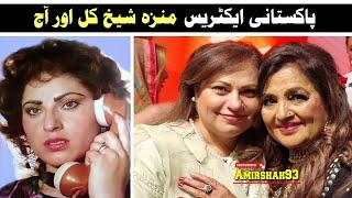 Pakistani Lost Actress Munazza Sheikh Then And Now 2023