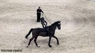 FEI Vaulting World Cup Final Basel 2024 - Kimberly Palmer USA - Tech Test