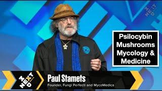 Paul Stamets on the Future of Psychedelics Mycology & Medicine  NextMed Health