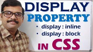 DISPLAY PROPERTY IN CSS  display in CSS   HTML & CSS