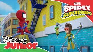 Marvel Spidey y su Superequipo Un gato gigantesco  Disney Junior Oficial