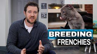 How to Breed French Bulldogs - Breeding Process