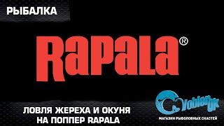 Ловля жереха и окуня на поппер Rapala