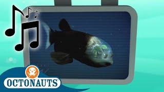 Octonauts - Spook Fish  Cartoons for Kids  Creature Reports