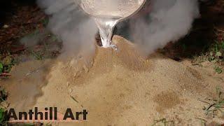 Five Fire Ant Colony Casting Session Part 2 Cast 3