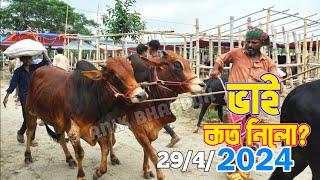 Bhai Koto Nilo Ashulia Cattle Market 2024 Qurbani Cow Price In Bangladesh PART 6