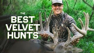 The Best Velvet Hunts