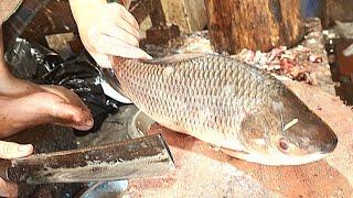 Amazing Live Rohui Fish Cutting Skills in The Fish Market  Fastest Rohui Fish Cutting