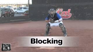 2014 Noah Robbins Baseball Skills Video