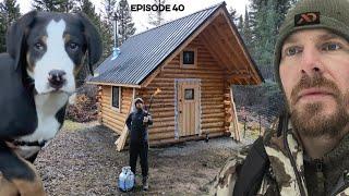 Log Cabin Build on Off-Grid Homestead EP40 Woodshed Shou Sugi Fire Preservation