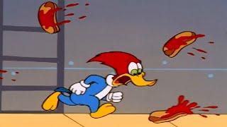 Battle of the Hog Dogs  Woody Woodpecker