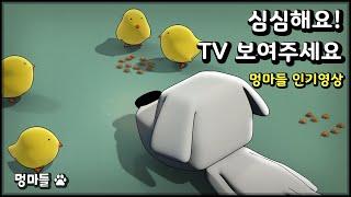 반려견이 집중하는 모습을 볼 수 있어요  병아리 밥주기 영상 - Video of feeding chicks