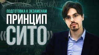 Как успеть подготовиться к экзаменам и ничего не забыть? Принцип Сито. 6+