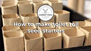 How to make toilet roll seed starters