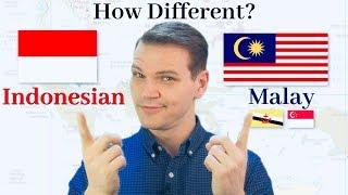 How Different Are Indonesian and Malay?