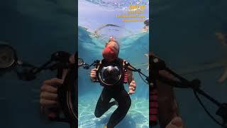 Best Underwater Camera Rig #shorts