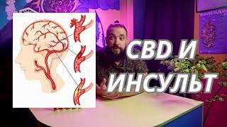 #6 CBD и болезни  Инсульт и восстановление после  MrgrowChannel