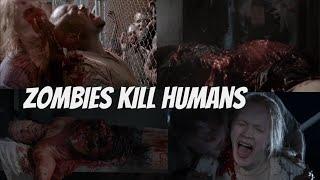 The Walking Dead Universe  Zombies kill humans