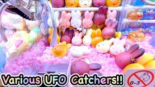 Various Claw Machine in Japan  UFO Catchers Wins Cute Prizes  Anime  Game  Doll UFOキャッチャー