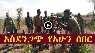 አስደንጋጭ ሰበር መረጃ  zehabesha  the habesha  feta daily  z habesha  ethiopiaethiopian news today