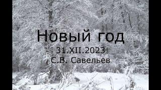 С.В. Савельев - Новый год