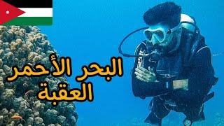 jordan - Diving in the Red Sea ‏تجربتى الأولى في الغوص _ البحر الاحمر