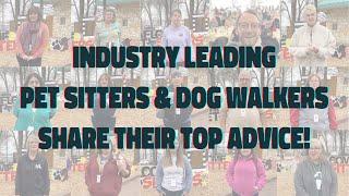 BEST ADVICE FOR PET SITTERS AND DOG WALKERS - 15 Experienced Pet Pros Share Their Top Tips