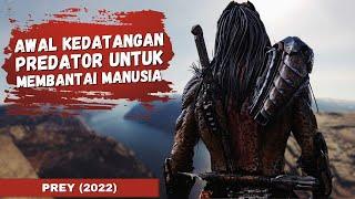 AWAL MULA KEDATANGAN PREDATOR UNTUK BERBURU MANUSIA  Alur Cerita Film PREY 2022