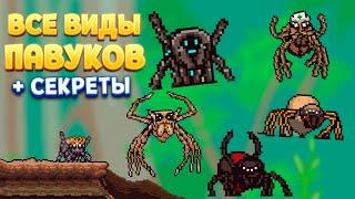 ВСЕ ВИДЫ ПАВУКОВ + СЕКРЕТЫ  Webbed 