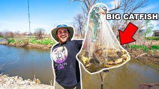 Cast Netting HUNDREDS of BIG FISH to FEED My PET FISH
