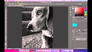 Photoshop Monotone Image