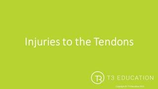 Injuries to Tendons